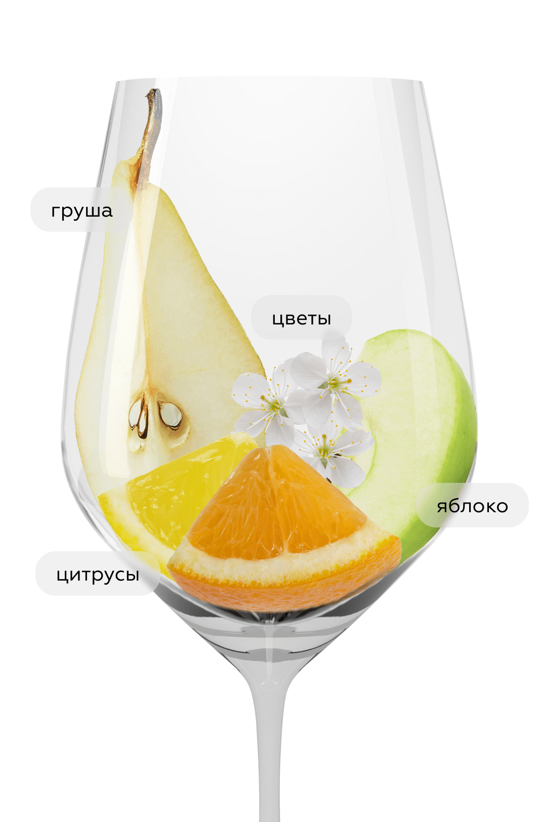 Игристое вино безалкогольное Spumante, 0.5%, Oddbird, (153719), Италия, Венето, 0.75 л, Спуманте Безалкогольное, цена 2163 рублей