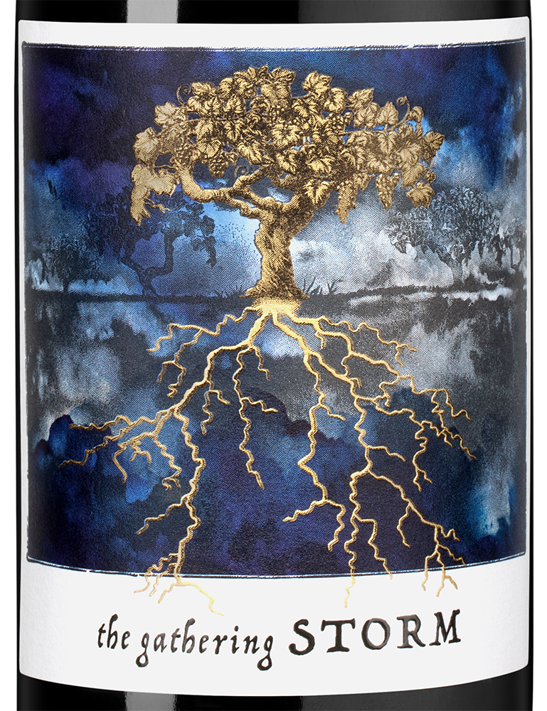 Вино Gathering Storm, Felix Solis, 2024, (158336), Испания, Кастилия Ла Манча, красное, полусухое, 0.75 л, Гезэринг Сторм, цена 1790 рублей