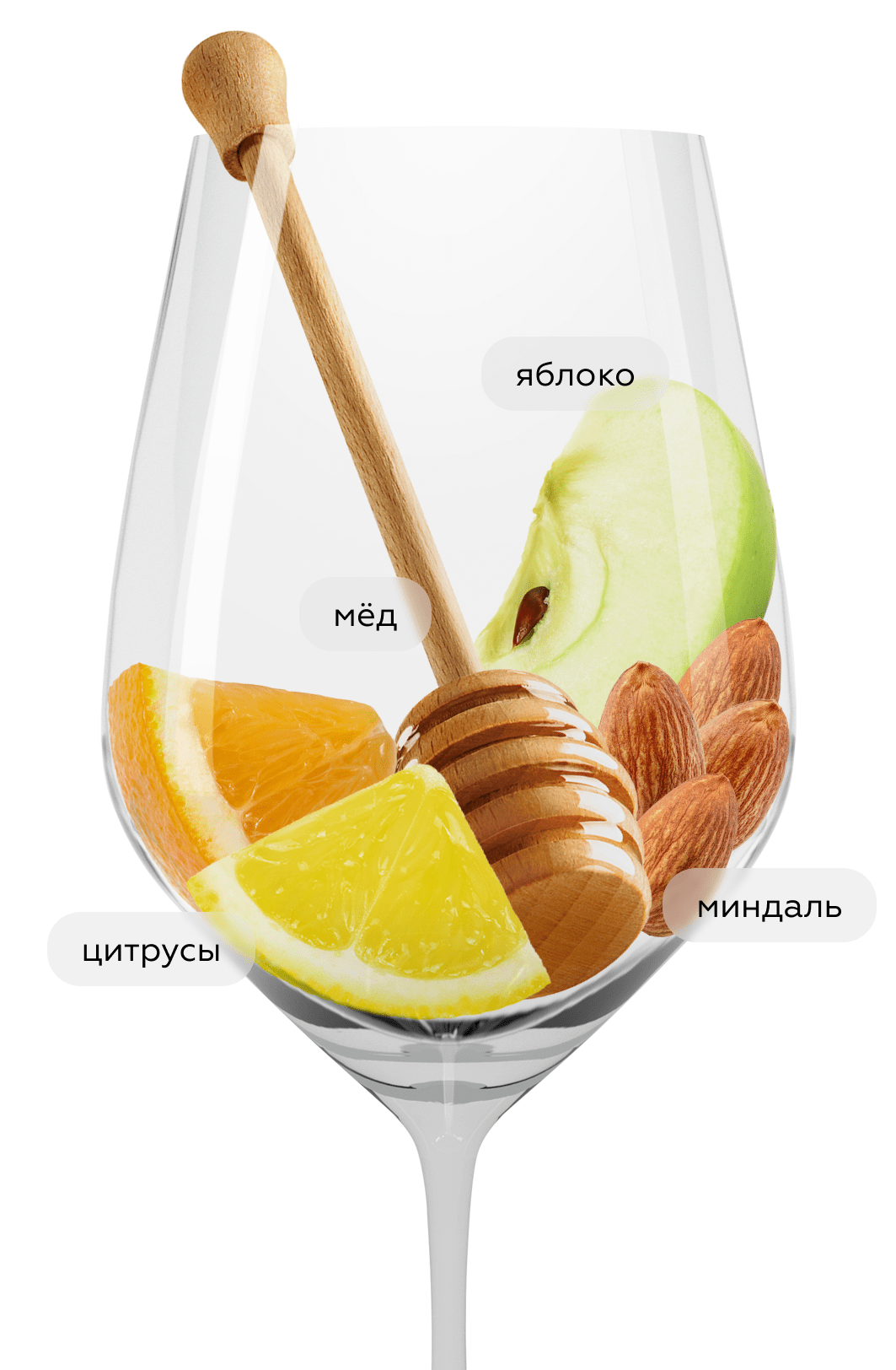 Игристое вино безалкогольное Blanc de Blancs, 0,5%, Oddbird, (157437), Франция, Лангедок-Руссильон, 0.75 л, Блан де Блан Безалкогольное, цена 2443 рублей