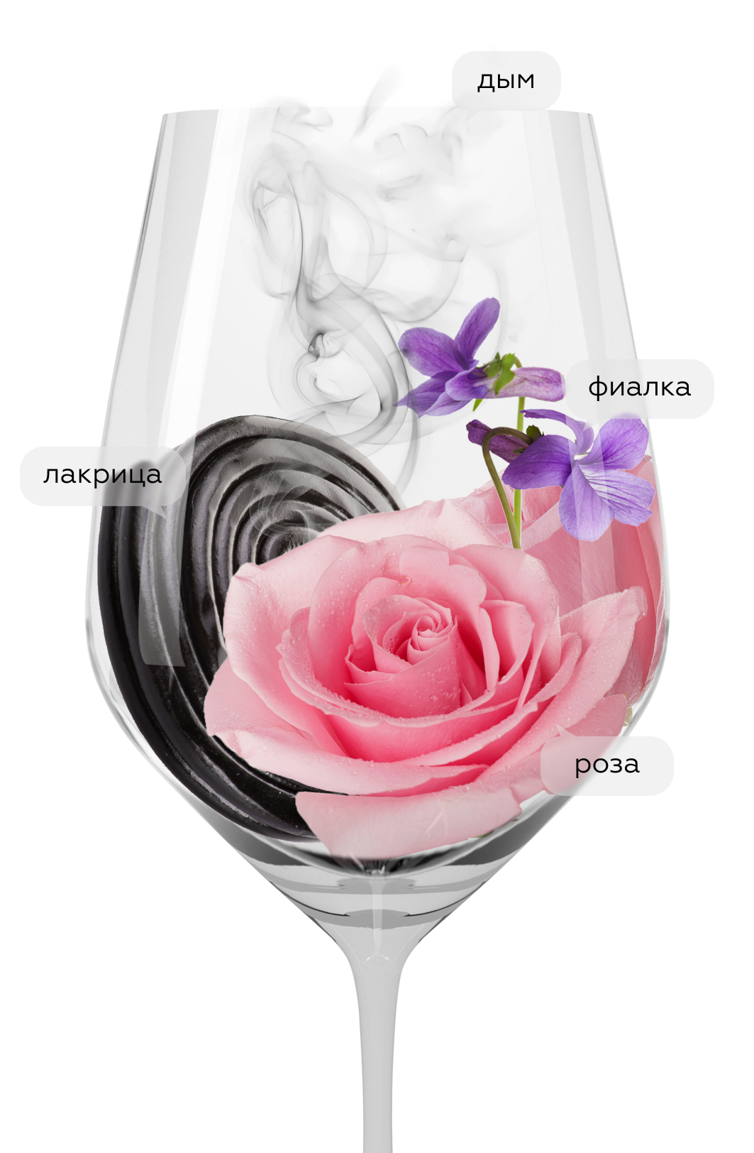 Вино Cinzia, Travaglini, (153283), Италия, Пьемонт, красное, сухое, 0.75 л, Чинция, цена 4490 рублей