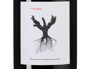 Вино PSI, (125011), красное сухое, 2019 г., 0.75 л, Пси цена 6290 рублей