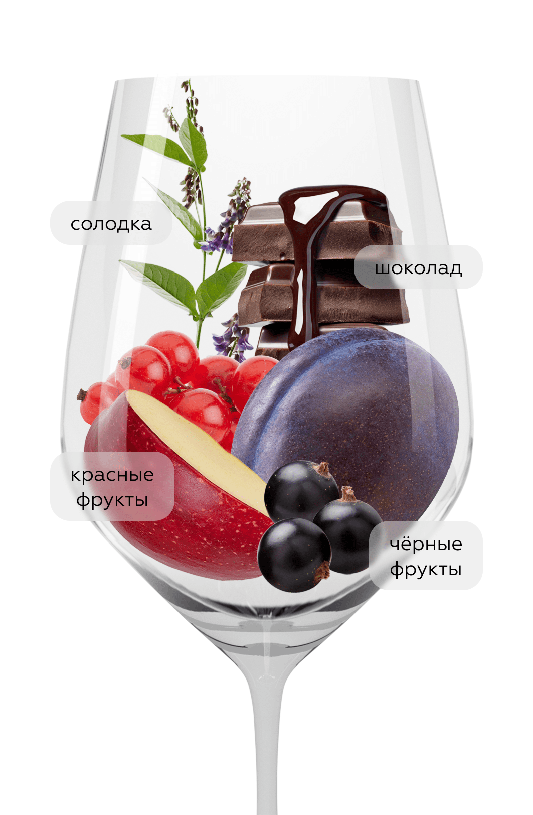 Вино Siglo Crianza, Bodegas Manzanos, 2019, (136591), Испания, Риоха, красное, сухое, 0.75 л, Риоха Сигло Крианса, цена 2290 рублей