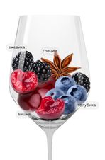 Вино El Ilusionista, (144395), красное сухое, 2022 г., 0.75 л, Эль Илусиониста цена 2490 рублей