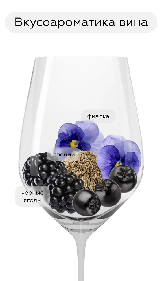 Вино Primasole Primitivo, Cielo, 2023, (151769), Италия, Апулия, красное, полусухое, 0.75 л, Примасоле Примитиво, цена 1790 рублей