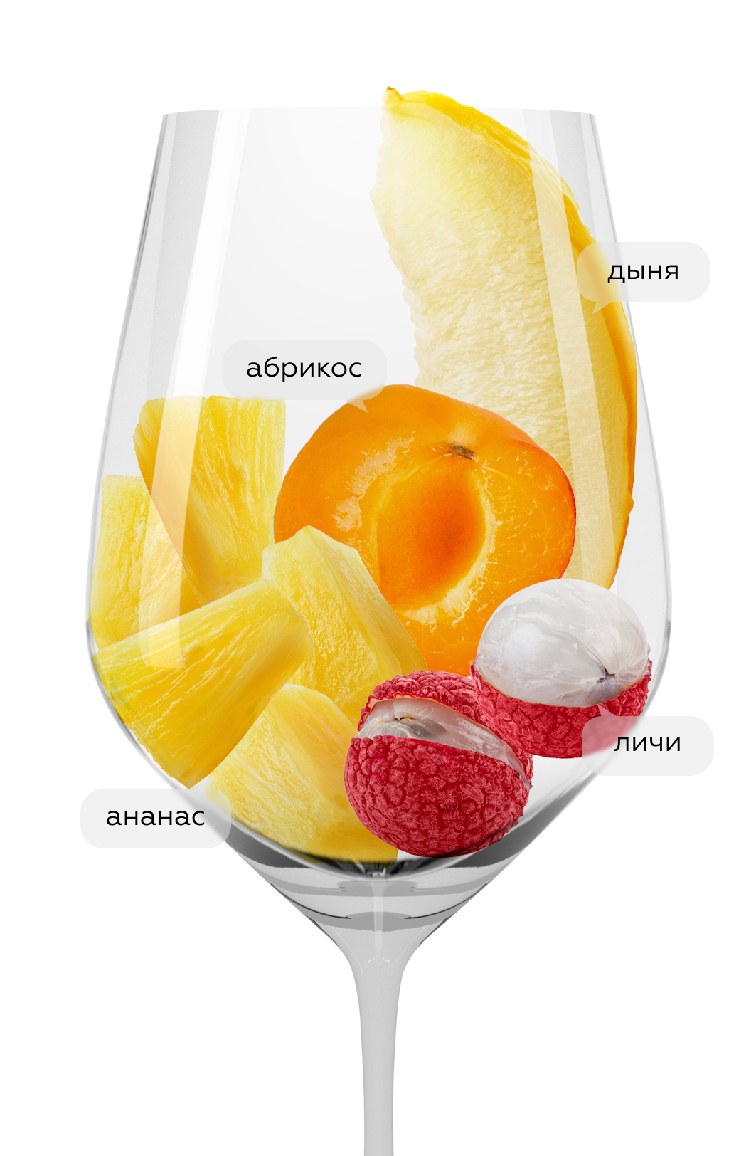 Вино Chenin/Chardonnay, Domaine Tariquet, 2022, (142062), Франция, Юго-Запад, белое, сухое, 0.75 л, Шенен/Шардоне, цена 3490 рублей