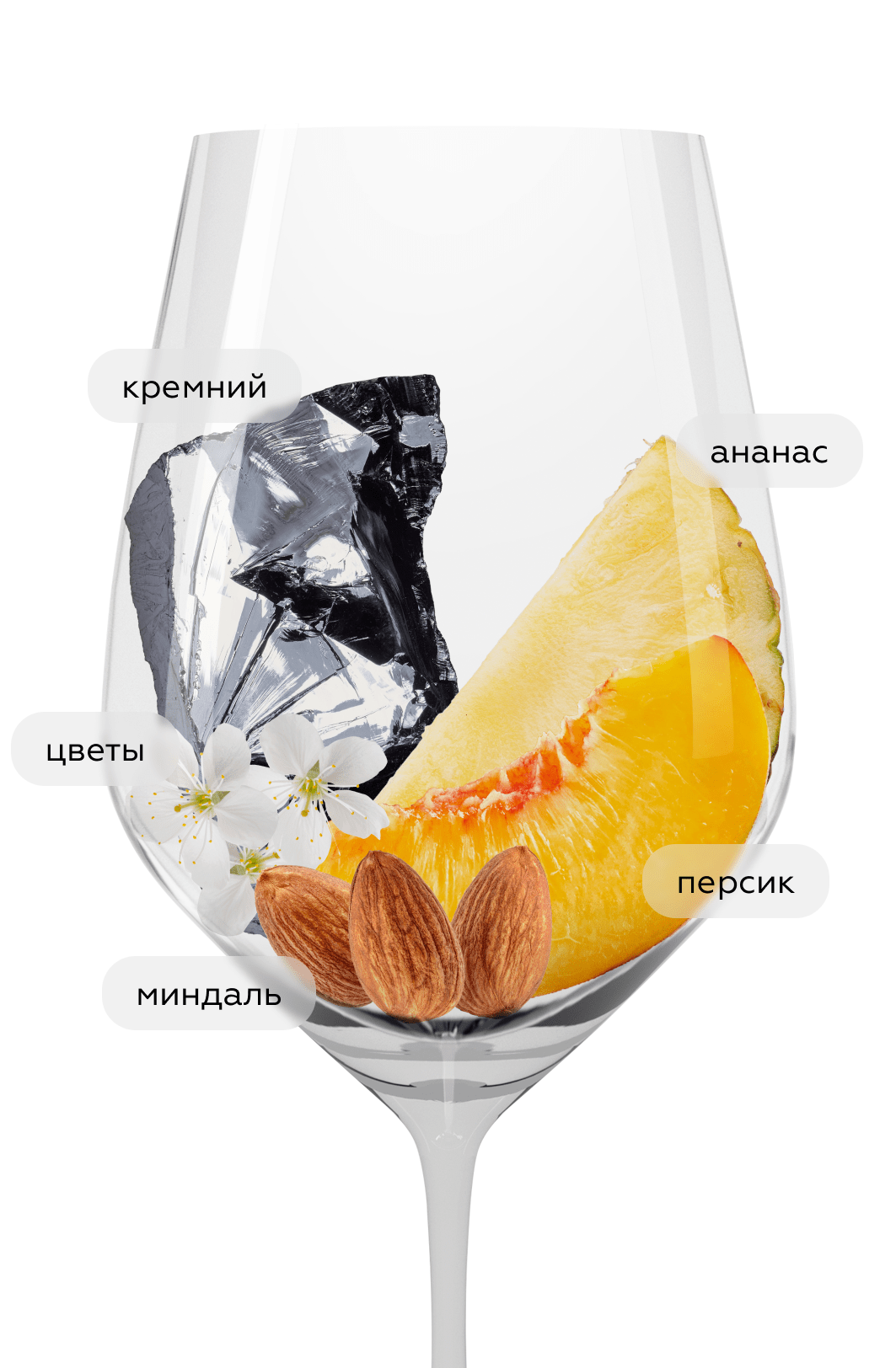 Вино Vernaccia di San Gimignano, Conti Serristori, 2024, (155164), Италия, Тоскана, белое, сухое, 0.75 л, Верначча ди Сан Джиминьяно, цена 2090 рублей