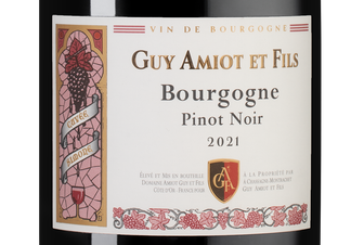 Вино Bourgogne Pinot Noir, (148214), красное сухое, 2021, 1.5 л, Бургонь Пино Нуар цена 18990 рублей