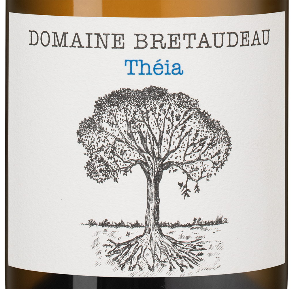 Вино Muscadet Theia, Domaine Bretaudeau, 2023, (148648), Франция, Долина Луары, белое, сухое, 0.75 л, Мюскаде Тейя, цена 8190 рублей