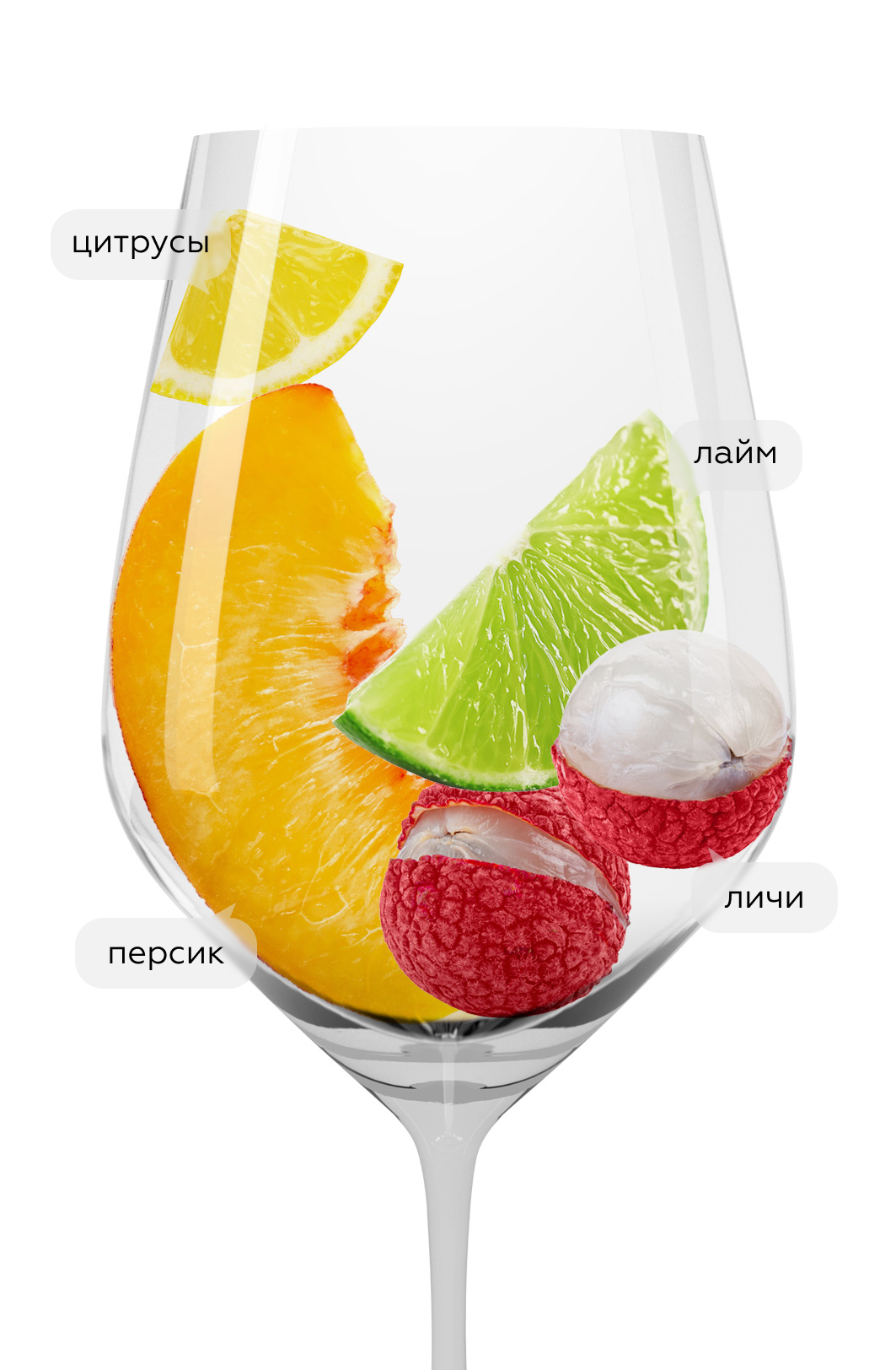 Вино Mare & Grill Vinho Verde, Quintas das Arcas, 2021, (140407), Португалия, Миньо, белое, полусухое, 0.75 л, Маре & Гриль Винью Верде, цена 1590 рублей