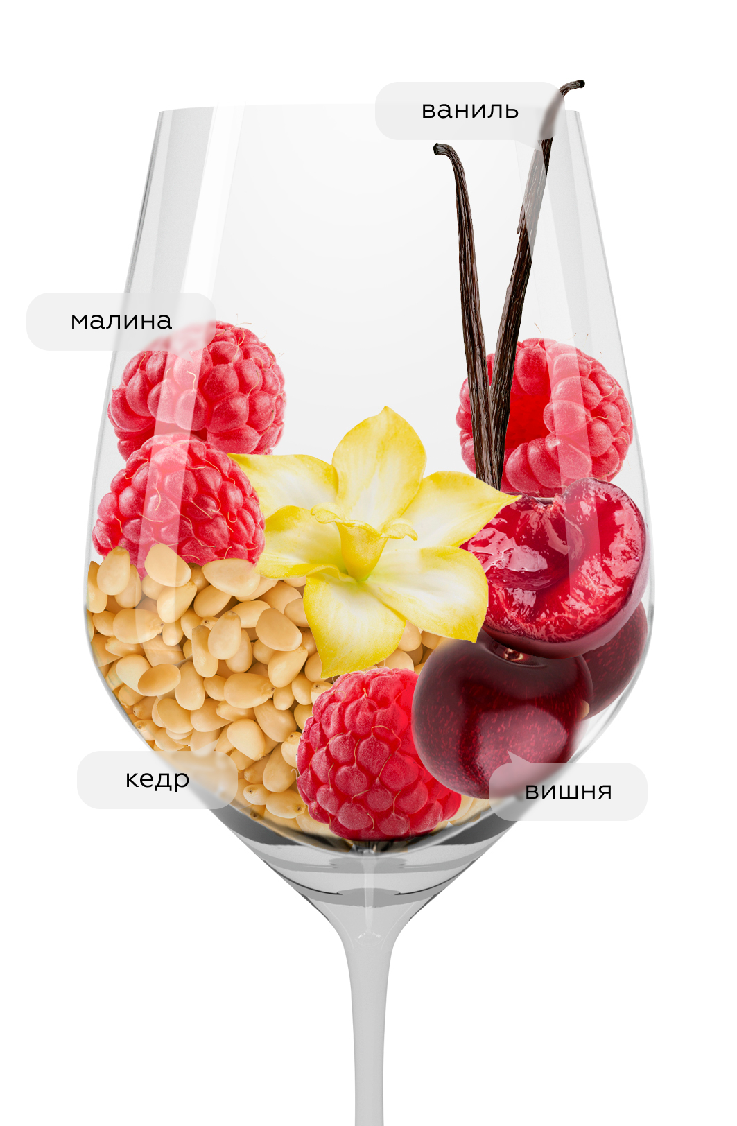 Вино Montej Rosso, Villa Sparina, 2023, (153302), Италия, Пьемонт, красное, сухое, 0.75 л, Монтей Россо, цена 3490 рублей