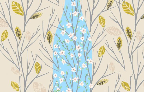 Путеводитель по винам Нового Света