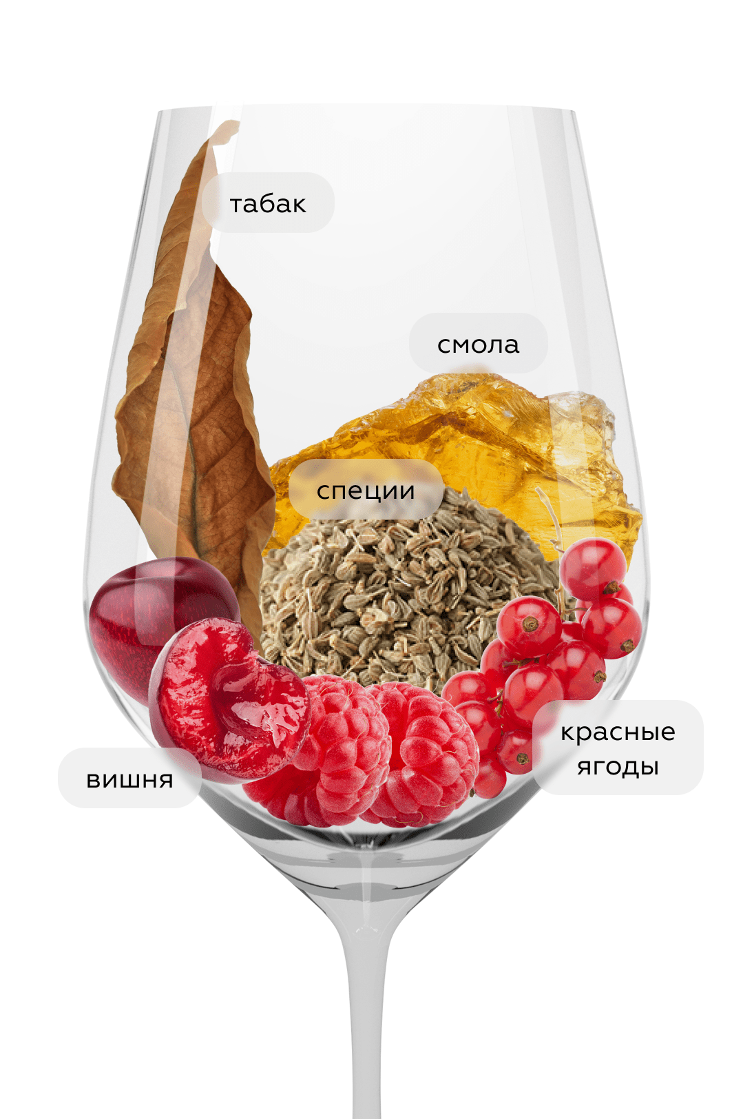 Вино Taurasi в подарочной упаковке, Feudi di San Gregorio, 2017, 1.5л, (141944), Италия, Кампания, красное, сухое, 1.5 л, Таурази, цена 19990 рублей