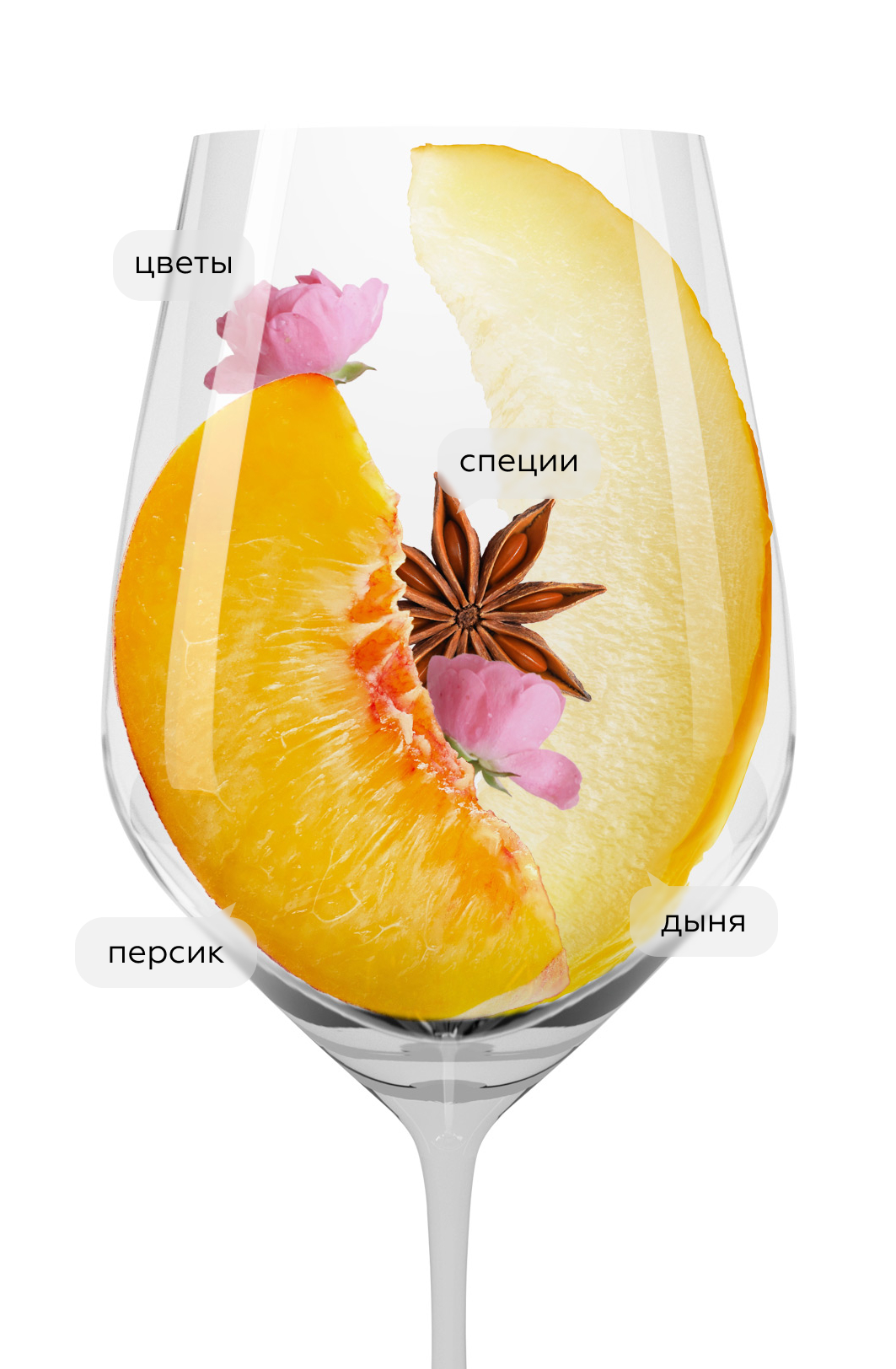 Вино Le Grand Noir Moscato, 2021, (142032), Франция, Лангедок-Руссильон, белое, сладкое, 0.75 л, Ле Гран Нуар Москато, цена 1890 рублей