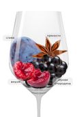 Вино с вкусом черных спелых ягод Ripassa della Valpolicella Superiore