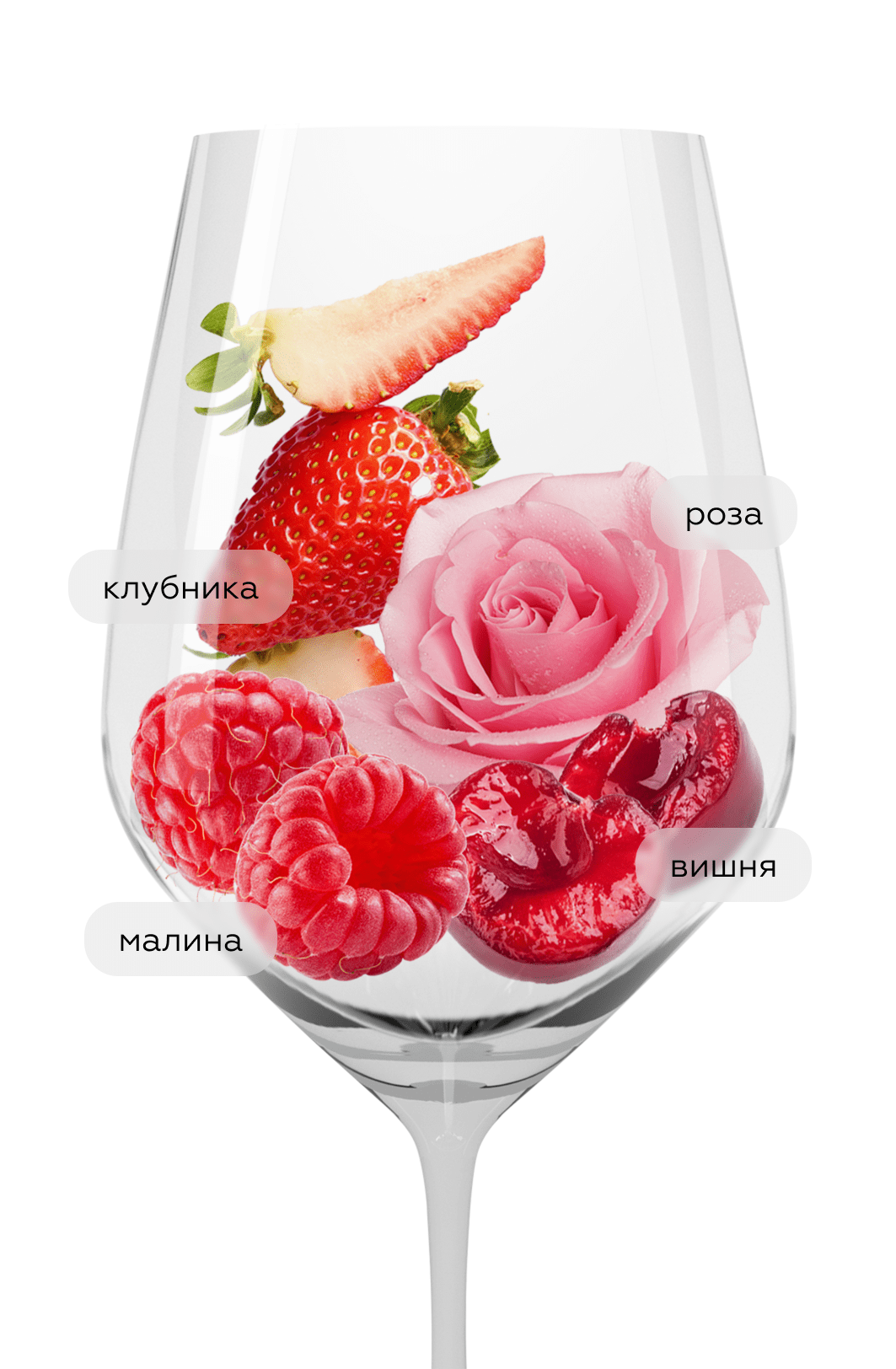 Вино Carolina Reserva Rose, Santa Carolina, 2022, (139906), Чили, Центральная Долина, розовое, сухое, 0.75 л, Каролина Ресерва Розе, цена 1690 рублей