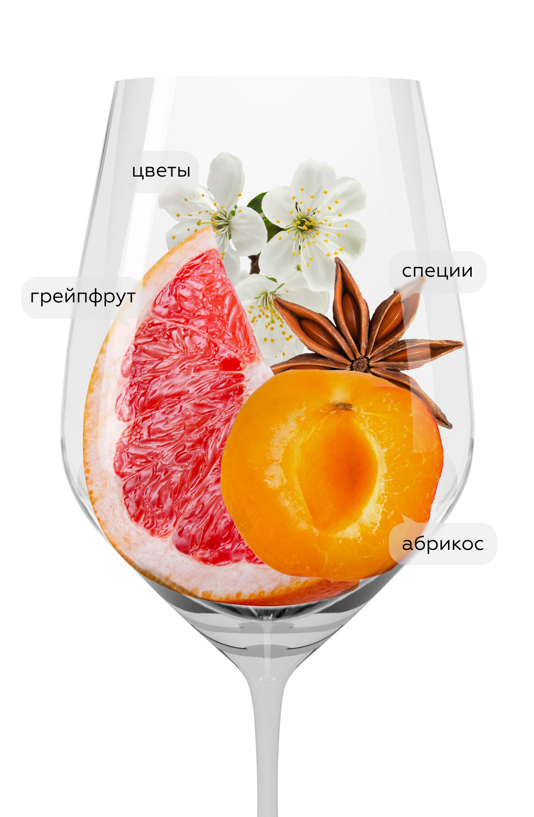 Вино La Pettegola Limited Edition, Banfi, 2025, (160443), Италия, Тоскана, белое, сухое, 0.75 л, Ла Петтегола Лимитет Эдишн, цена 3790 рублей