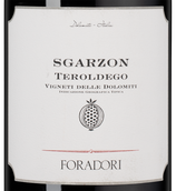 Сухие вина Италии Sgarzon
