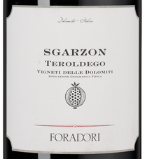 Вино Sgarzon, (140424), gift box в подарочной упаковке, красное сухое, 2021 г., 1.5 л, Сгарцон цена 17490 рублей