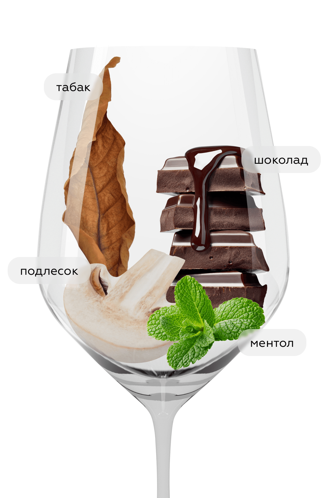 Вино Barolo Sottocastello di Novello, Ca`Viola, 2020, (149411), Италия, Пьемонт, красное, сухое, 0.75 л, Бароло Соттокастелло ди Новелло, цена 14990 рублей