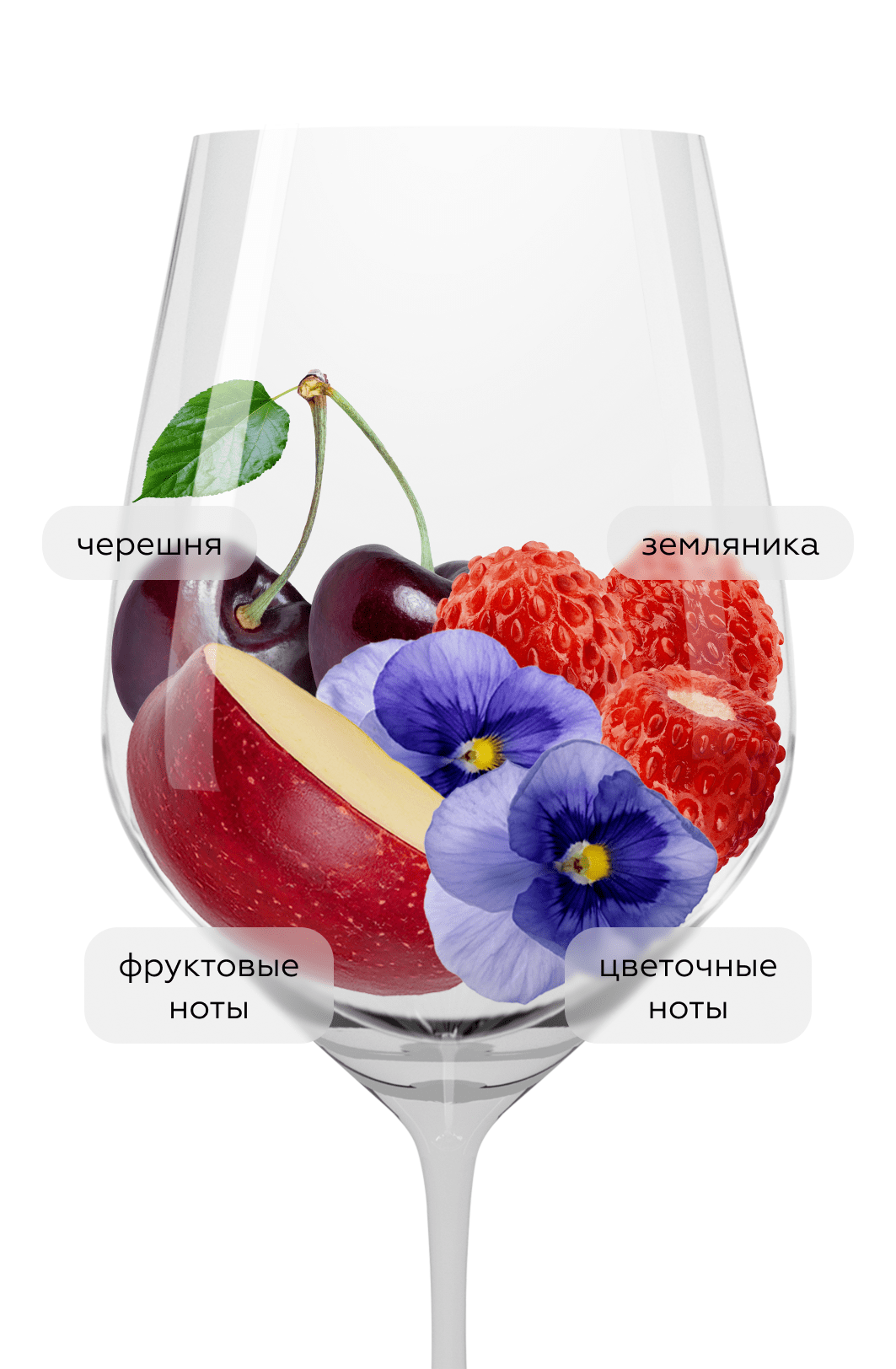 Вино Chianti Classico Faunae, Frescobaldi, 2023, (159809), Италия, Тоскана, красное, сухое, 0.75 л, Кьянти Классико Фаунае, цена 3690 рублей