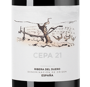 Вино Ribera del Duero DO Cepa 21