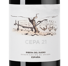 Вино Cepa 21, (146775), красное сухое, 2021 г., 0.75 л, Сепа 21 цена 5490 рублей