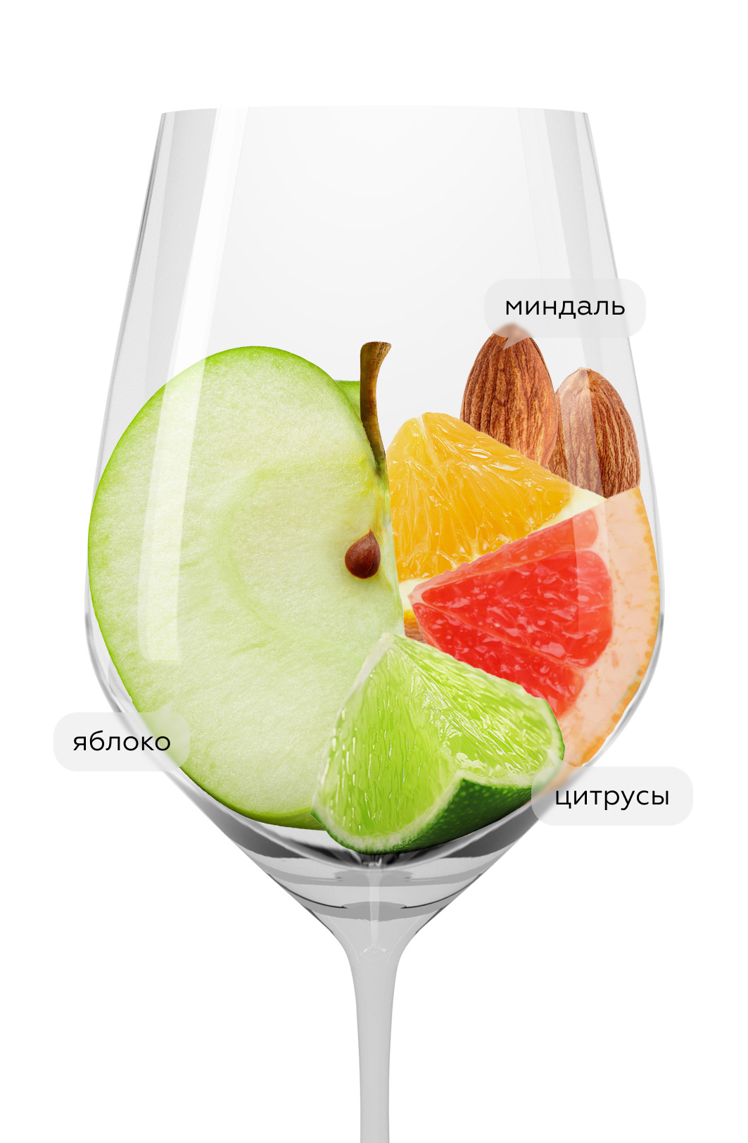 Игристое вино Bio Bio Bubbles Extra Dry, Cielo, (138415), Италия, белое, брют, 0.75 л, Био Био Бабблс Экстра Драй, цена 1418 рублей