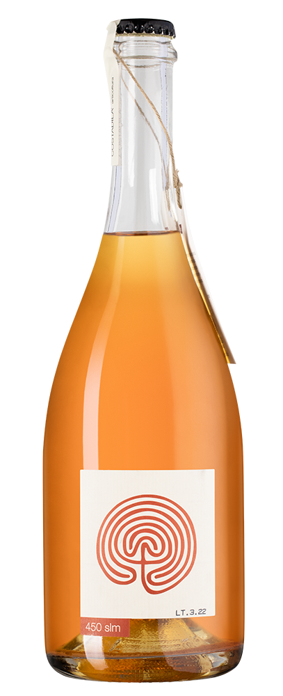 Игристое вино 450 slm, Costadila, 2021, (139800), Италия, Венето, белое, экстра брют, 0.75 л, 450 слм, цена 6490 рублей