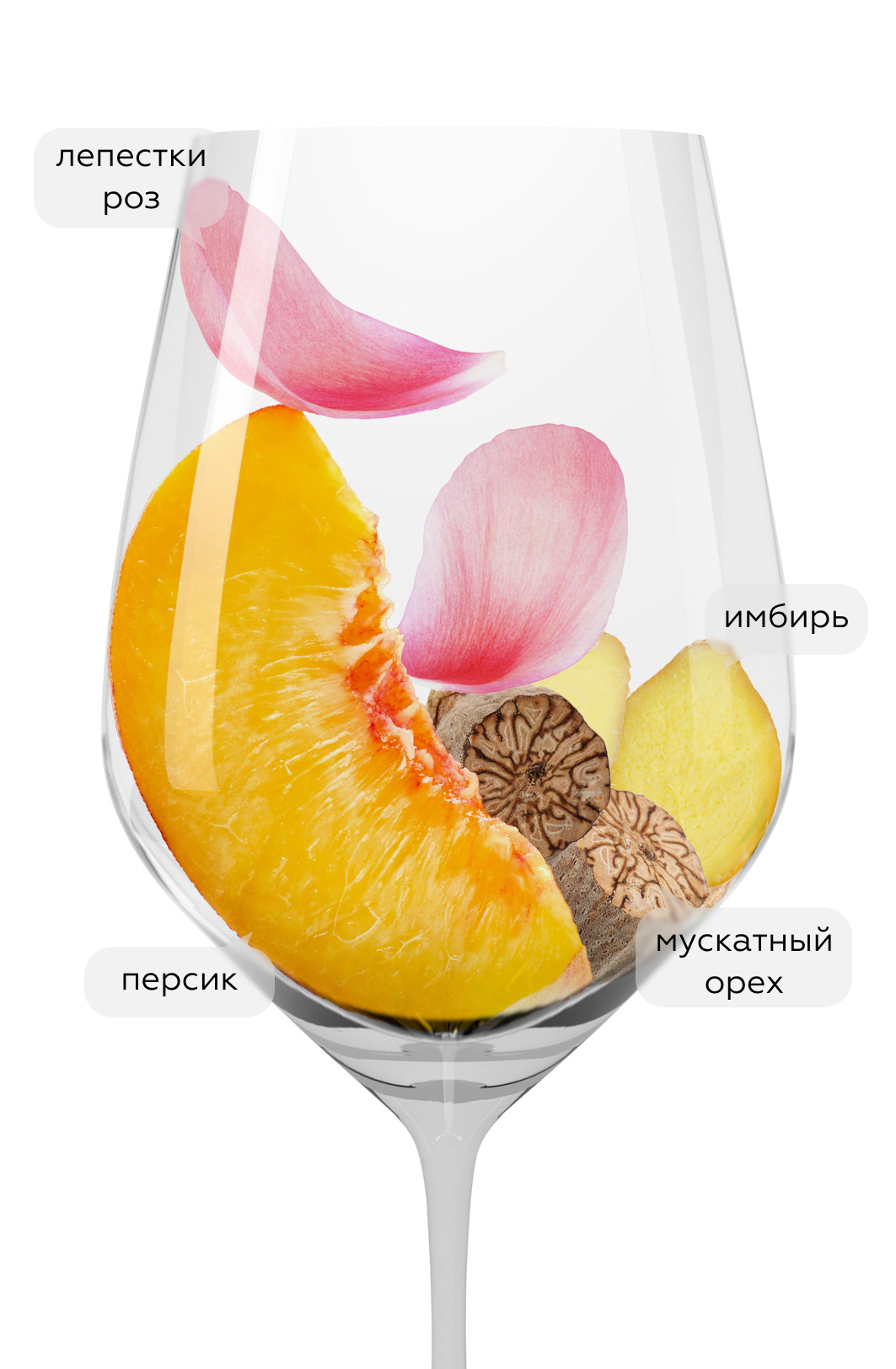 Игристое вино Moscato d'Asti, Vietti, 2023, (147419), Италия, Пьемонт, белое, сладкое, 0.75 л, Москато д'Асти, цена 5490 рублей