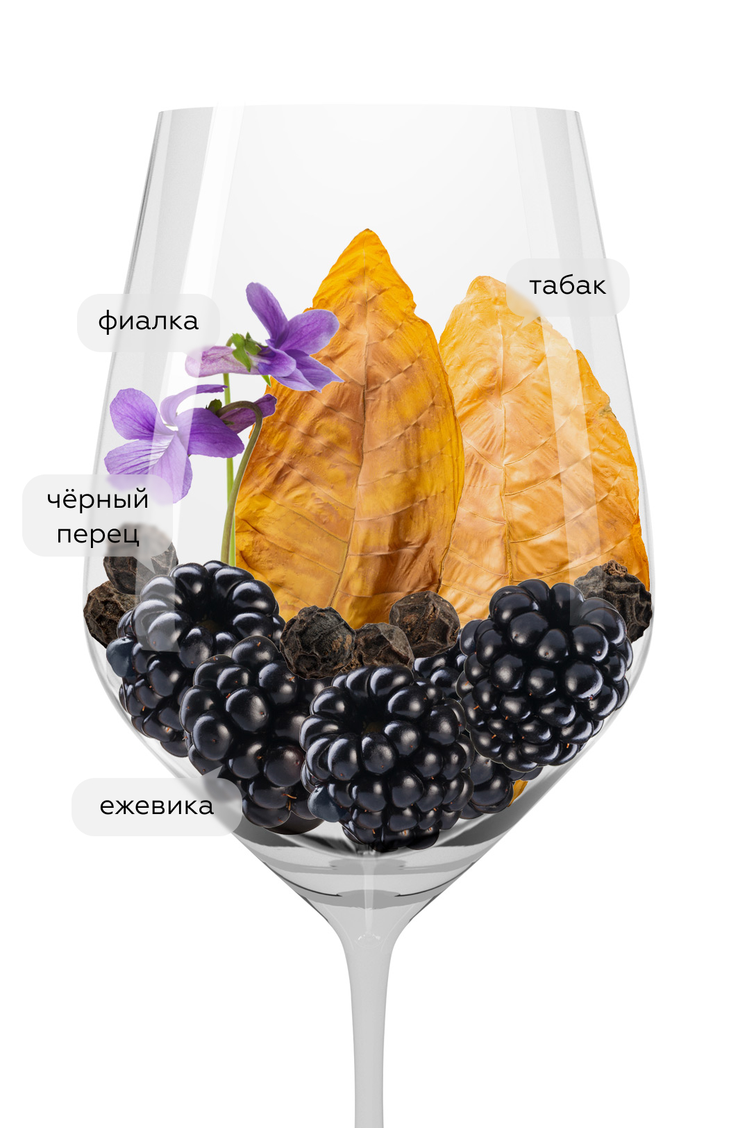 Вино Le Difese, Tenuta San Guido, 2023, (156076), Италия, Тоскана, красное, сухое, 0.75 л, Ле Дифезе, цена 8490 рублей