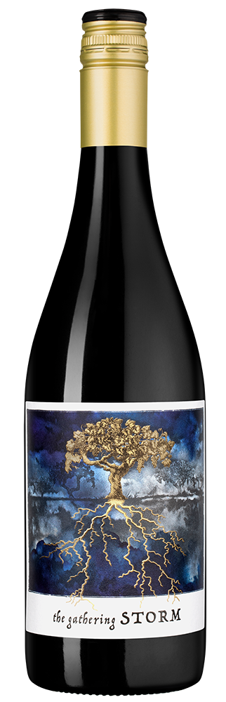 Вино Gathering Storm, Felix Solis, 2024, (158336), Испания, Кастилия Ла Манча, красное, полусухое, 0.75 л, Гезэринг Сторм, цена 1790 рублей