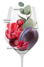 Вино Valpolicella Classico Superiore Ognisanti, (140845), красное сухое, 2020 г., 0.75 л, Вальполичелла Классико Супериоре Оньисанти цена 6990 рублей