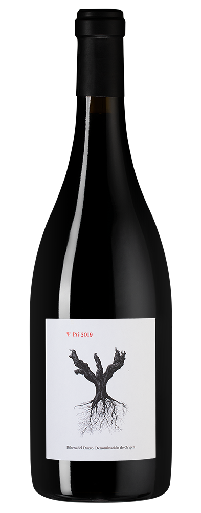 Вино PSI, Bodegas y Vinedos Alnardo, 2019, (134349), Испания, Кастилия и Леон, красное, сухое, 0.75 л, Пси, цена 7990 рублей