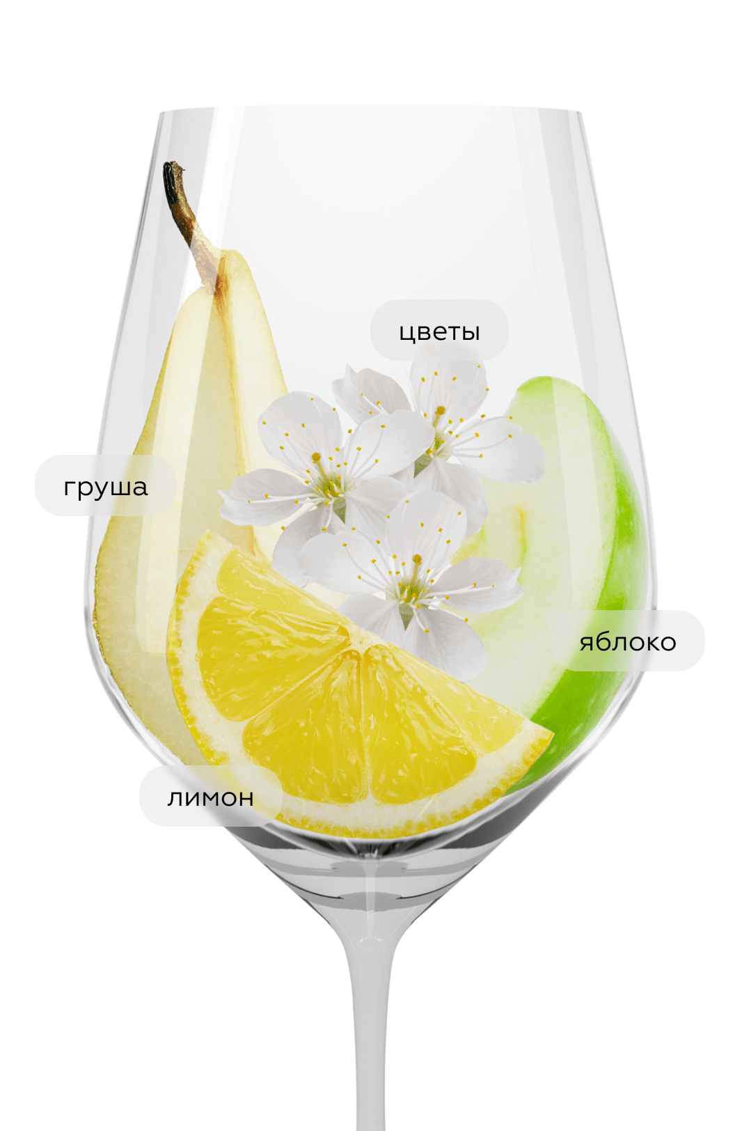 Игристое вино Medusa Brut, Felix Solis, 2021, (138452), Испания, белое, брют, 0.75 л, Медуса Брют, цена 1890 рублей