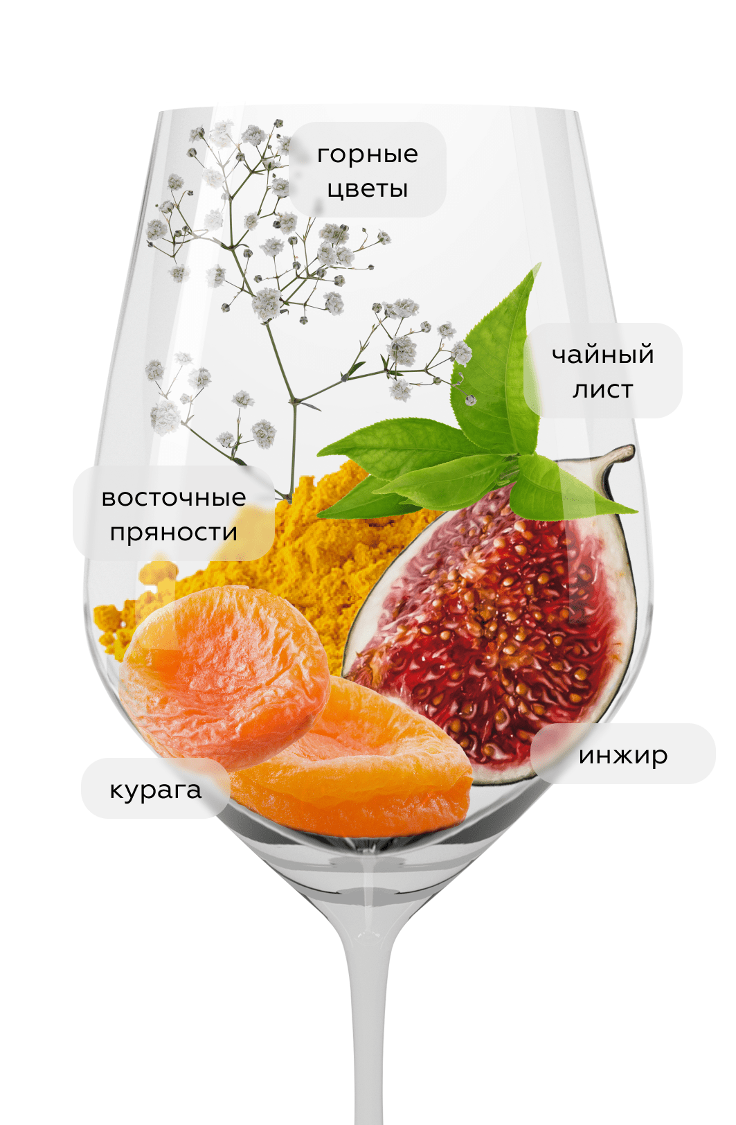 Вино Tsitska Qvevri, Binekhi, 2020, (139370), Грузия, Имеретия, белое, сухое, 0.75 л, Цицка Квеври, цена 5690 рублей