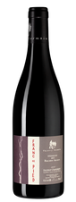 Вино Franc de Pied (Saumur Champigny), (115769), красное сухое, 2017 г., 0.75 л, Фран де Пье цена 10490 рублей