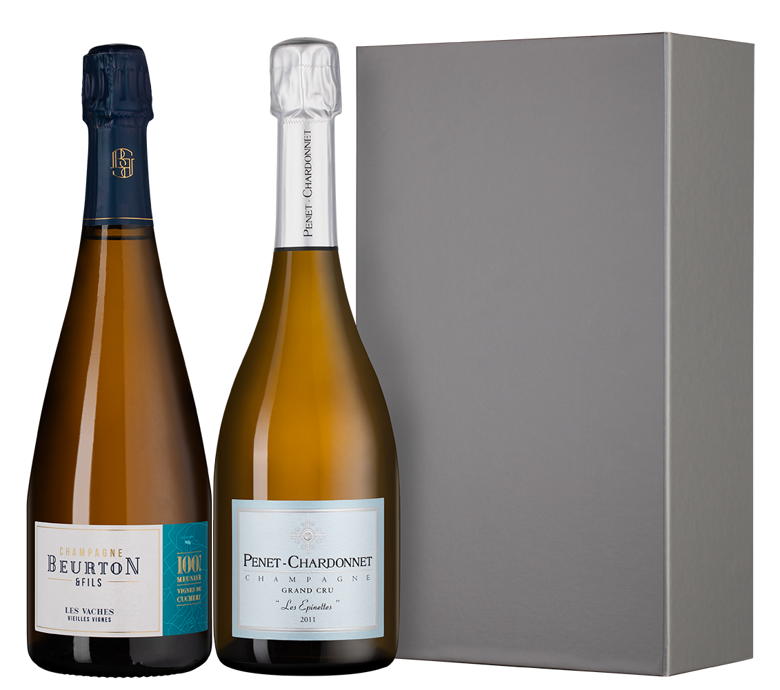 Шампанское в подарочном наборе Голос терруара, (152499), Франция, Шампань, 0.75 л, Голос терруара, цена 59990 рублей