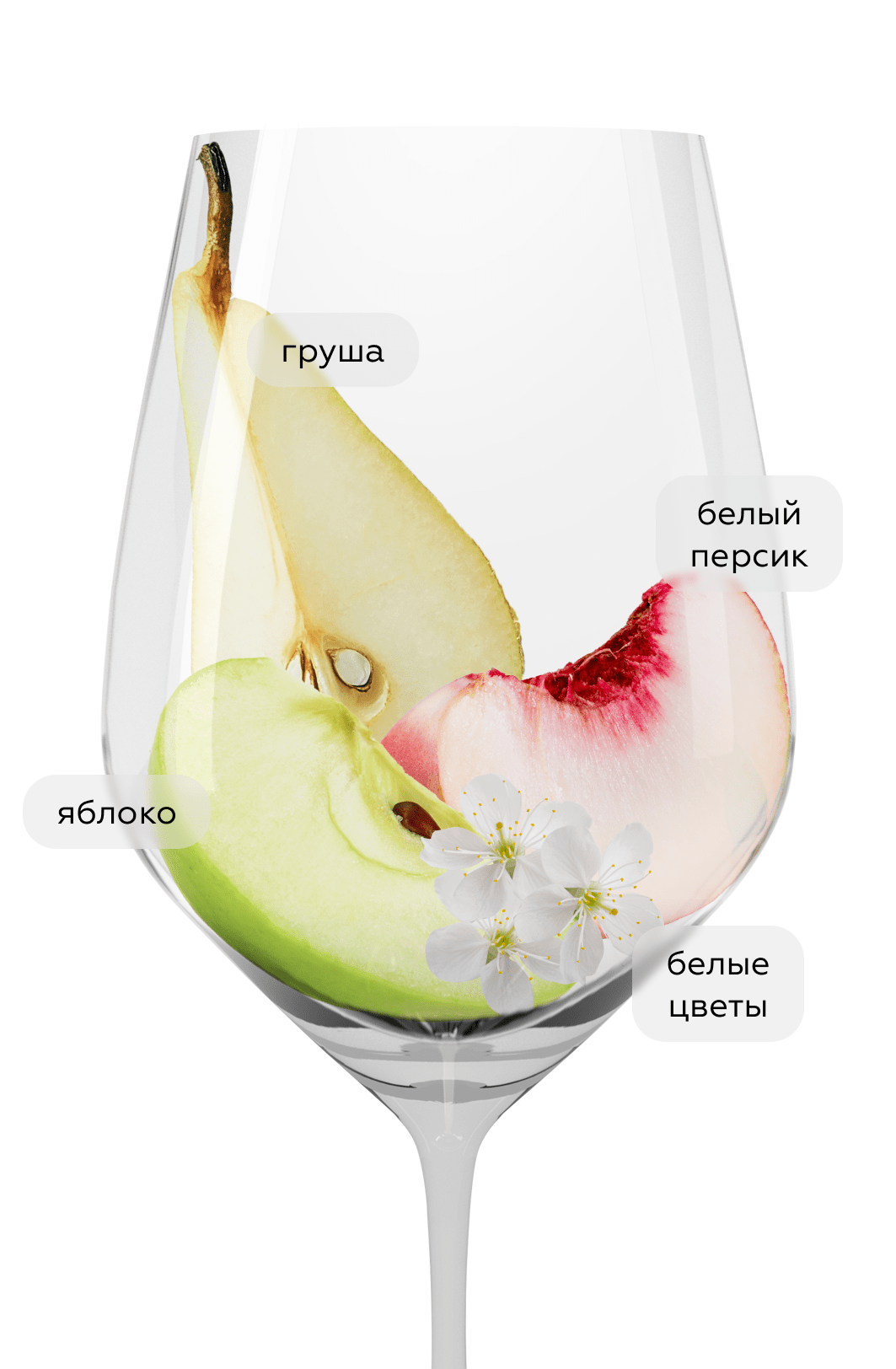 Вино Langhe Luca Bosio Favorita, 2024, (154006), Италия, Пьемонт, белое, сухое, 0.75 л, Ланге Фаворита, цена 2490 рублей