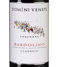 Вино Bardolino Classico, (146610), красное полусухое, 2022 г., 0.75 л, Бардолино Классико цена 2390 рублей