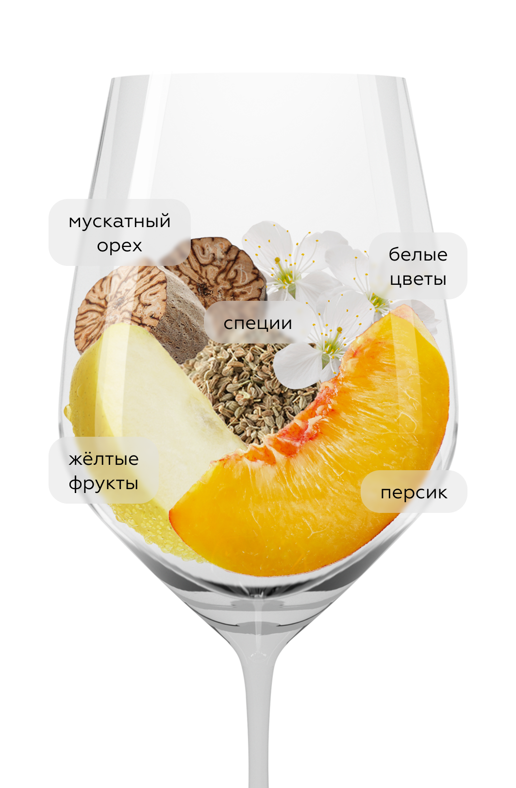 Вино UNA Muskat Ottonel, Vereinigte Winzer Neusiedler, 2021, (136718), Австрия, Бургенланд, белое, полусухое, 0.75 л, УНА Мускат Оттонель, цена 1868 рублей