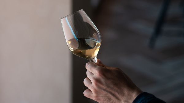 Топ-100 российских вин по версии SWN х RATINGTELLING: финал Большой Русской Винной Экспедиции