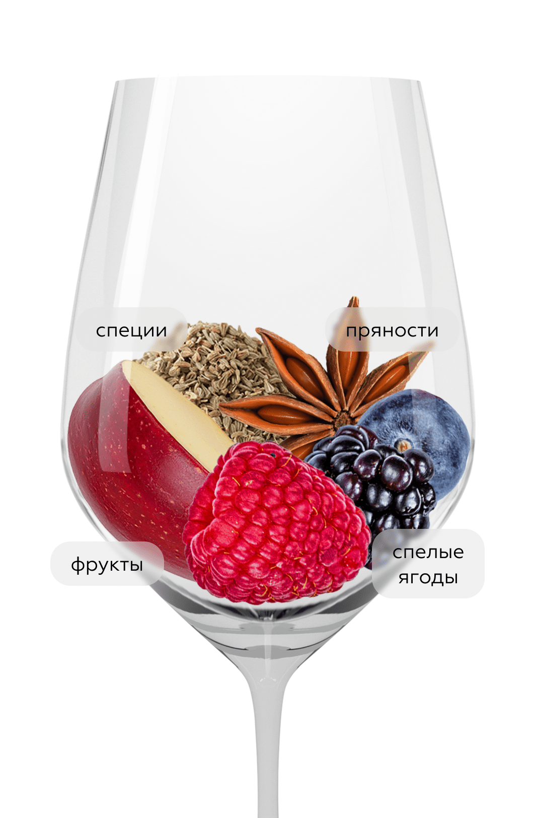 Вино Barolo Simposio, Bel Colle, 2020, (146794), Италия, Пьемонт, красное, сухое, 0.75 л, Бароло Симпозио, цена 8990 рублей