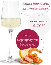 Игристое вино Tener Sauvignon Chardonnay, (147937), белое брют, 0.75 л, Тенер Совиньон Шардоне цена 3340 рублей