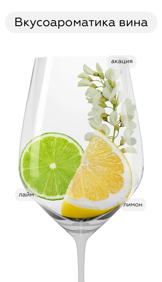 Игристое вино Cremant de Bourgogne Blanc de Blanc Brut в подарочной упаковке, Veuve Ambal, (148812), Франция, Бургундия, белое, брют, 0.75 л, Креман де Бургонь Блан де Блан Брют, цена 4690 рублей