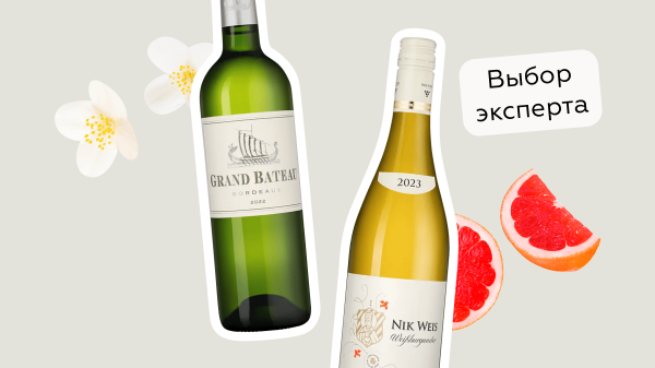Топ-7 белых вин для начинающих