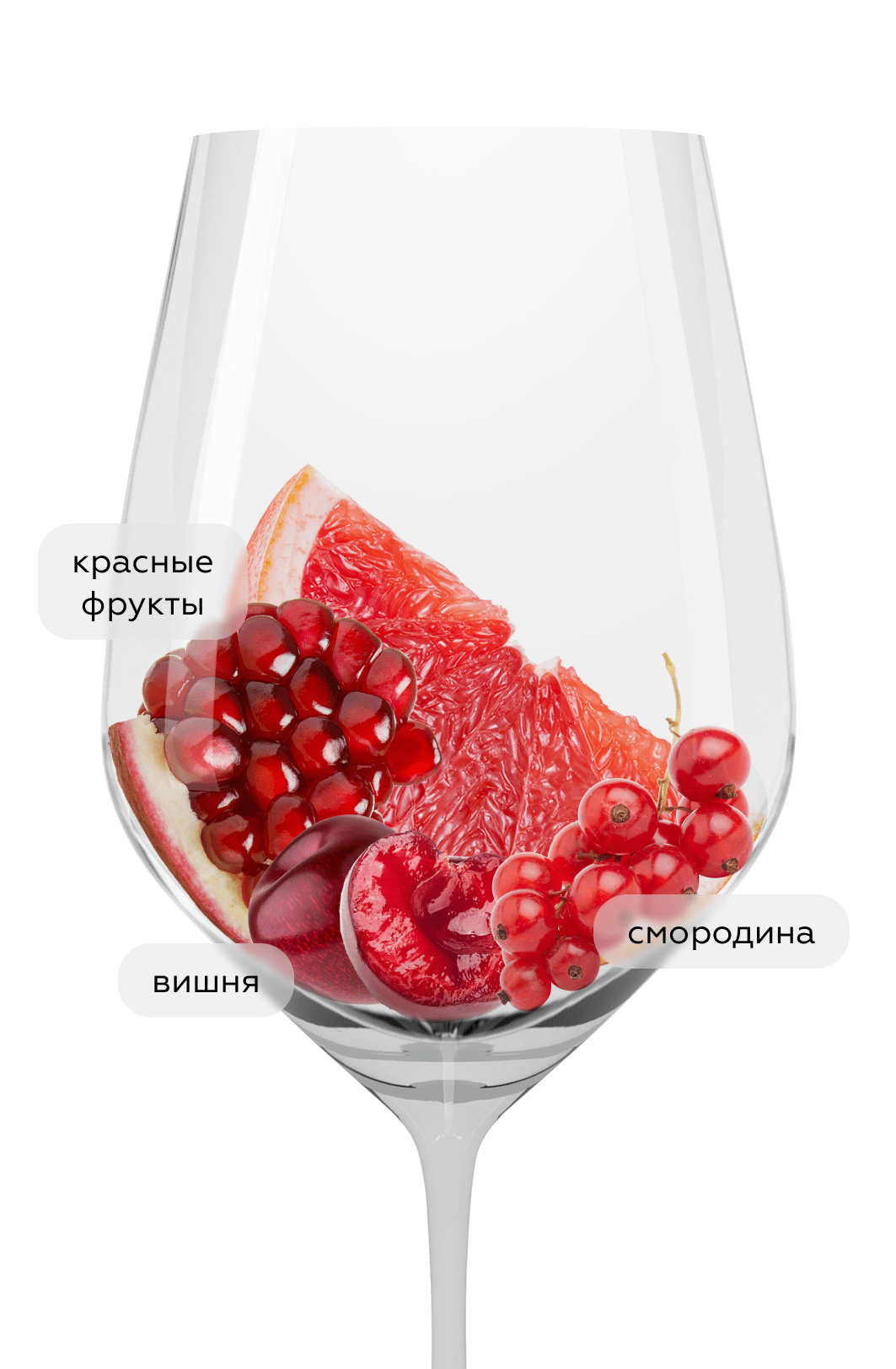 Вино Barbera d`Asti Luca Bosio, 2023, (152344), Италия, Пьемонт, красное, сухое, 0.75 л, Барбера д`Асти, цена 2490 рублей