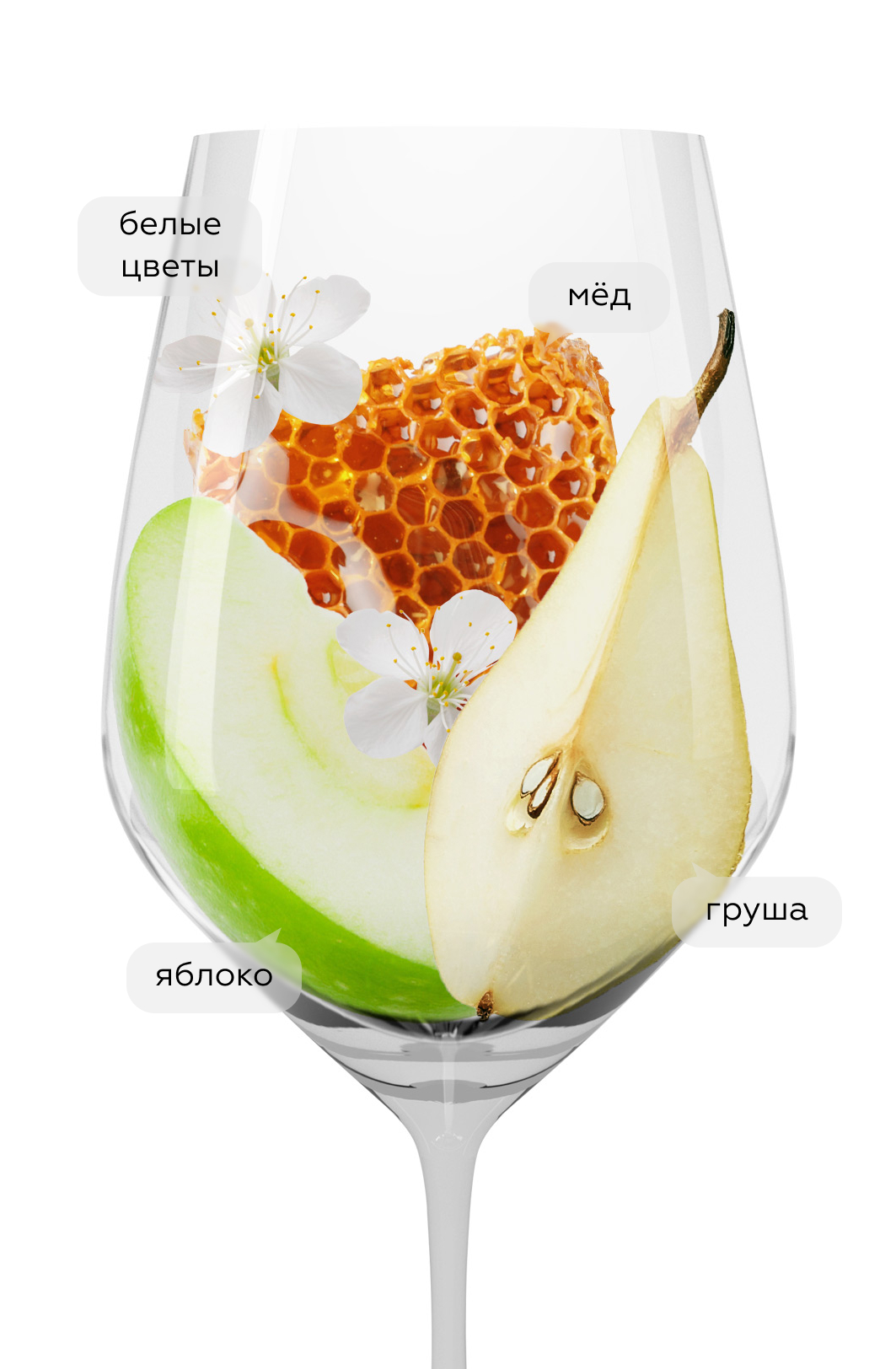 Игристое вино Urban Riesling Sekt в подарочной упаковке, Nik Weis St. Urbans-Hof, (148814), Германия, белое, брют, 0.75 л, Урбан Рислинг Зект, цена 2990 рублей