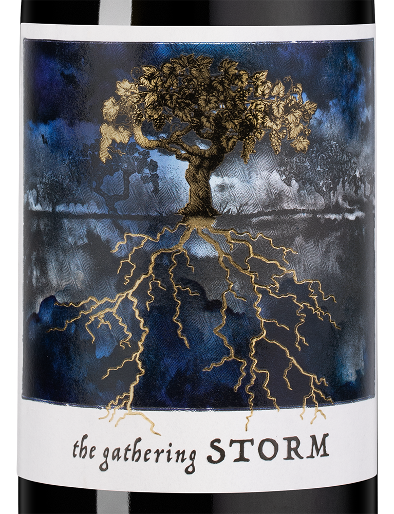 Вино Gathering Storm, Felix Solis, 2023, (148197), Испания, Кастилия Ла Манча, красное, полусухое, 0.75 л, Гезэринг Сторм, цена 1790 рублей