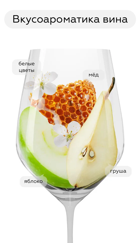 Игристое вино Urban Riesling Sekt, Nik Weis St. Urbans-Hof, (157956), Германия, белое, брют, 0.75 л, Урбан Рислинг Зект, цена 2093 рублей