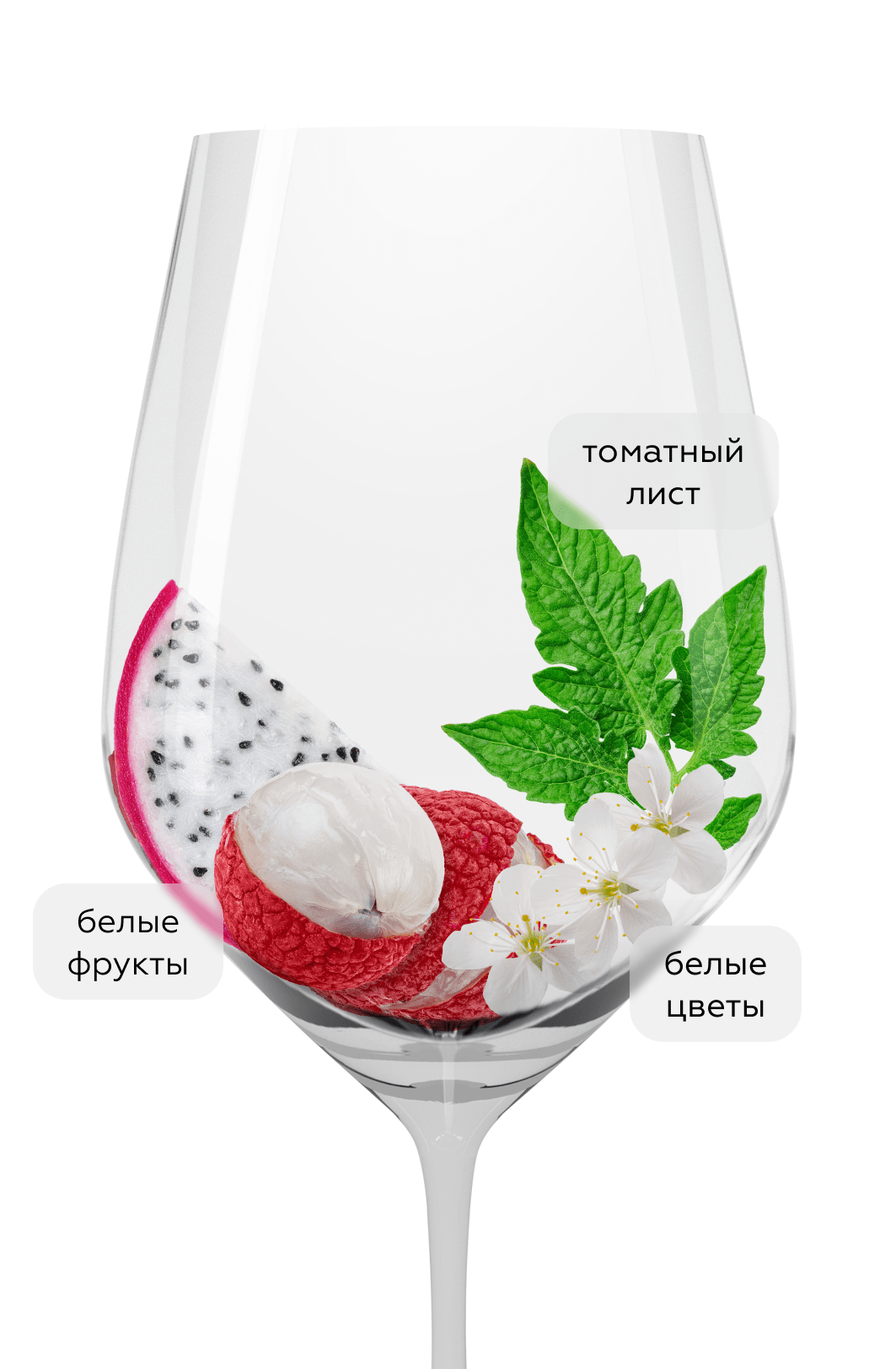 Вино Fumaio, Banfi, 2024, (156469), Италия, Тоскана, белое, сухое, 0.75 л, Фумайо, цена 2990 рублей